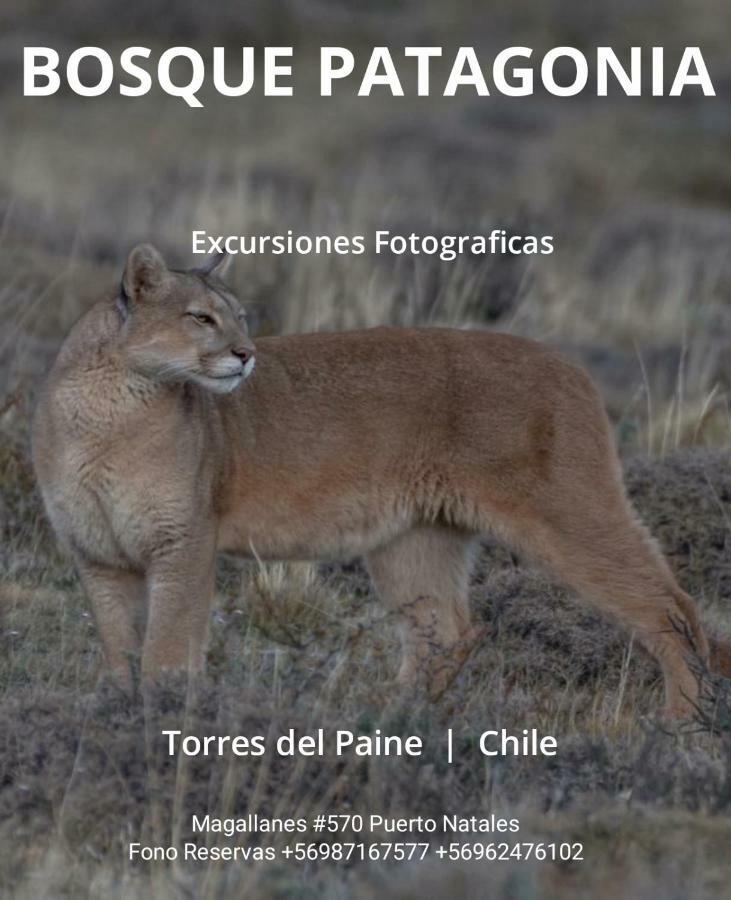 Hostal Bosque Patagonia Пуерто Наталес Екстериор снимка